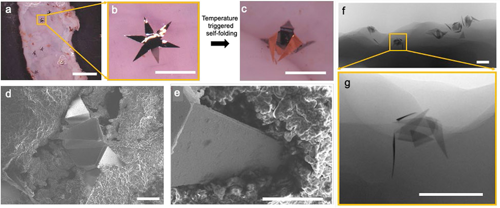 Figure 3: