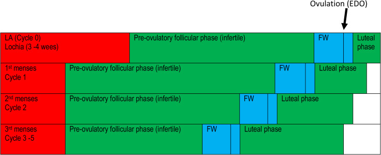 Figure 1.