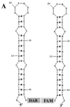 FIG. 7.