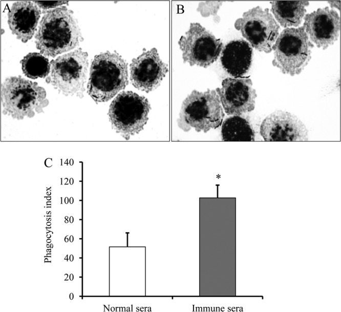 Fig 6