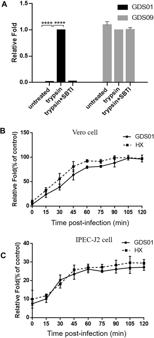 Figure 1