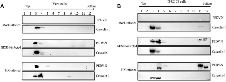 Figure 6