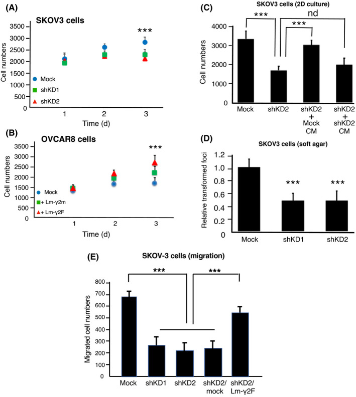 FIGURE 3