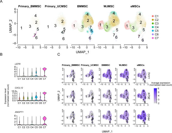 Supplementary figure S6