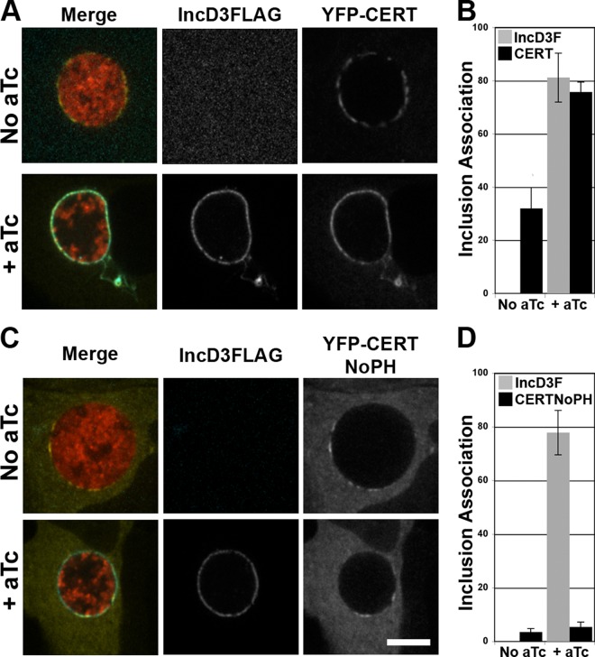 FIG 6