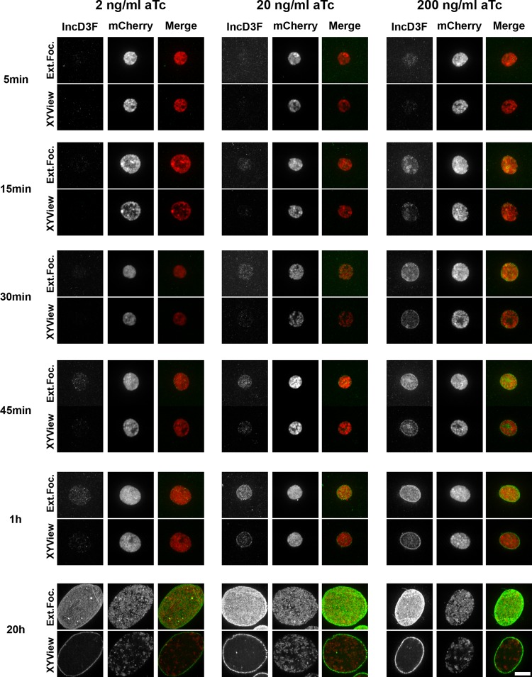 FIG 2