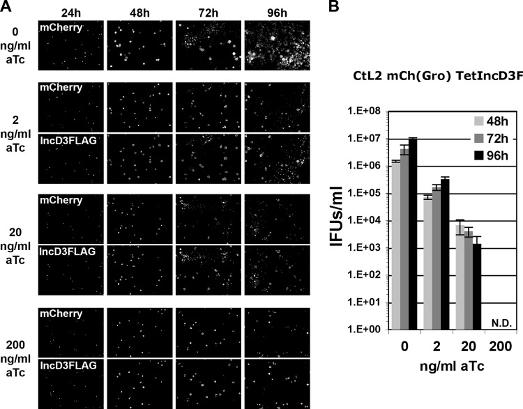 FIG 4