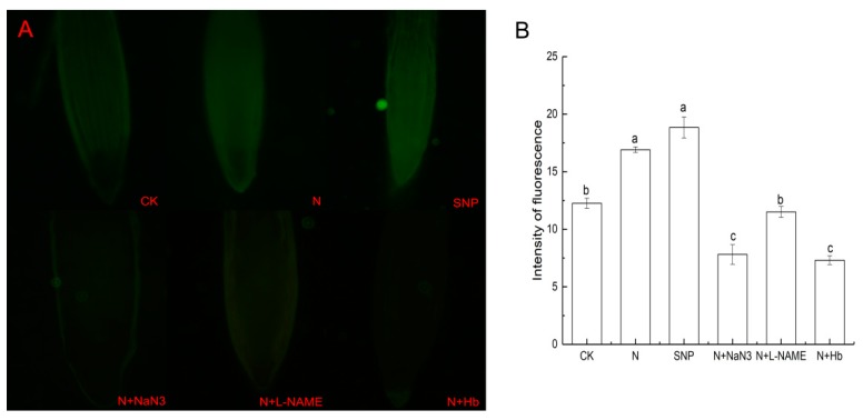 Figure 5