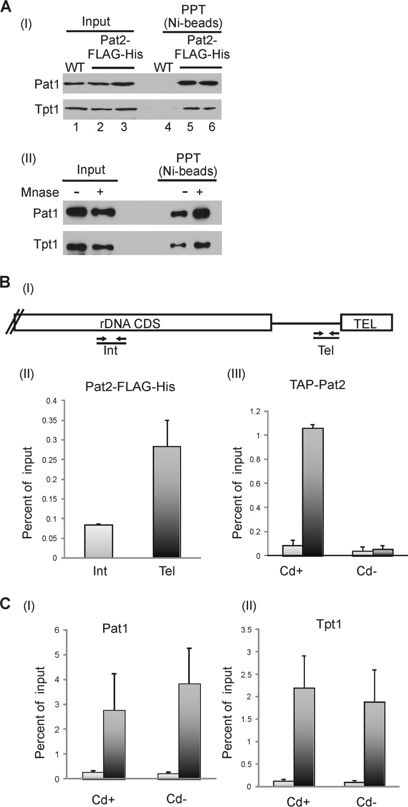 FIG 2