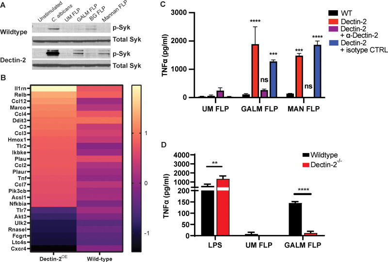 FIG 3