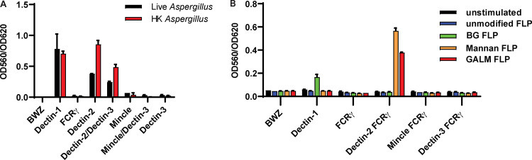 FIG 1