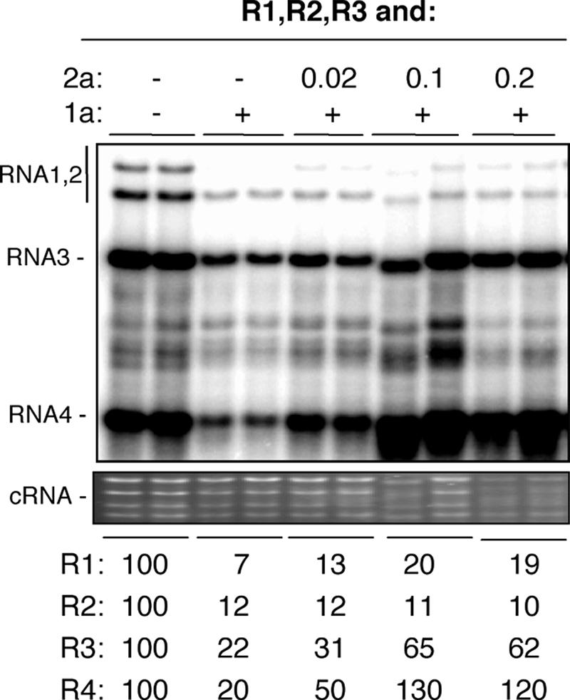 FIG. 4.