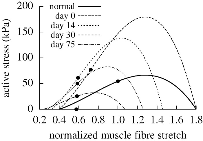 Figure 9.