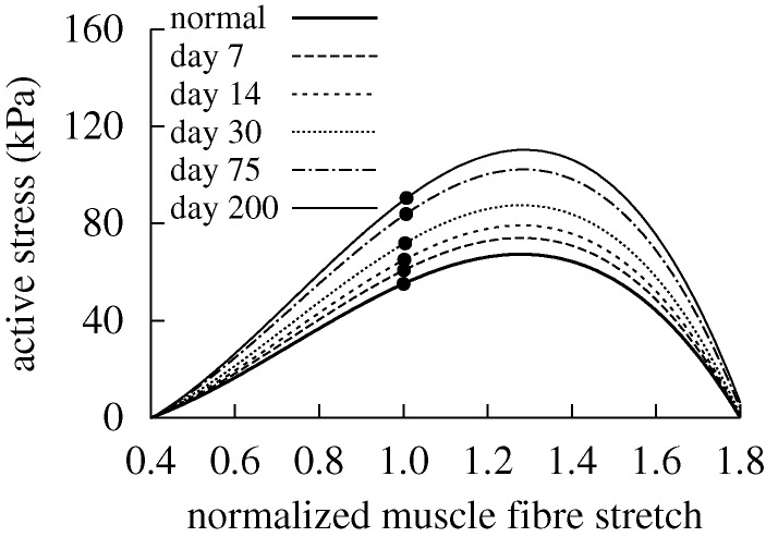 Figure 4.