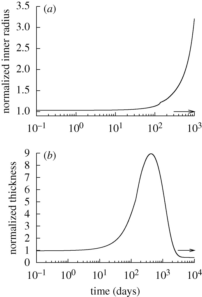 Figure 11.