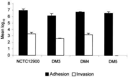 FIG. 2.