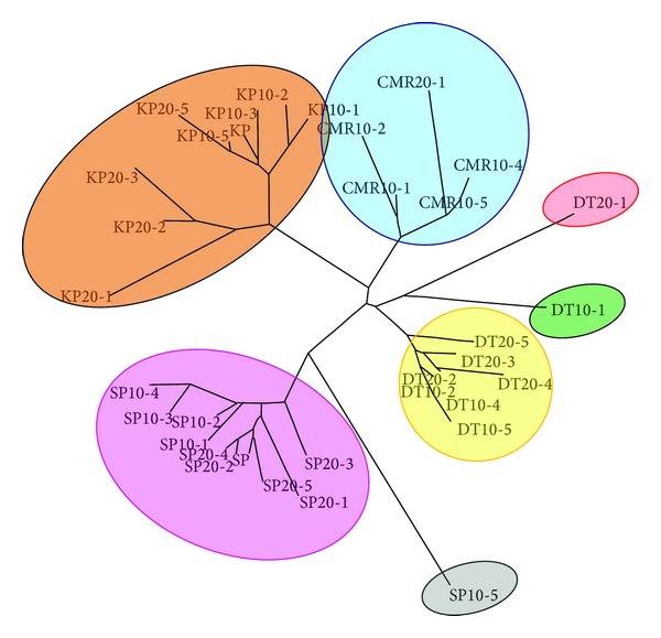 Figure 5