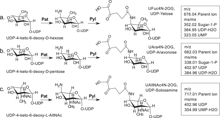 FIGURE 14.