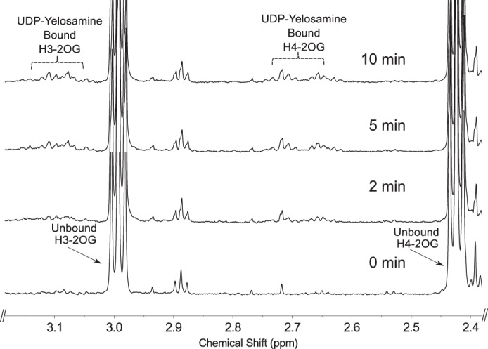 FIGURE 11.