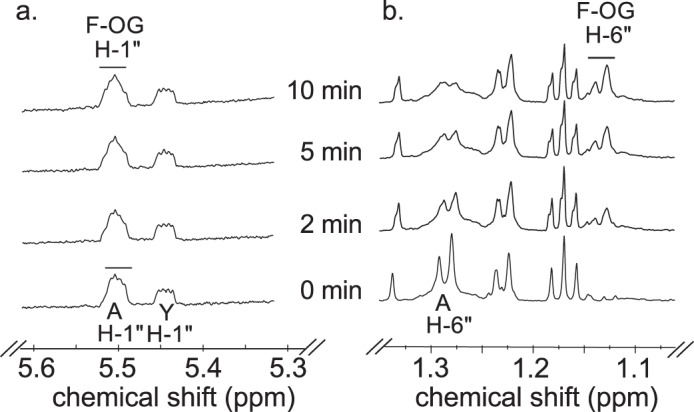 FIGURE 10.