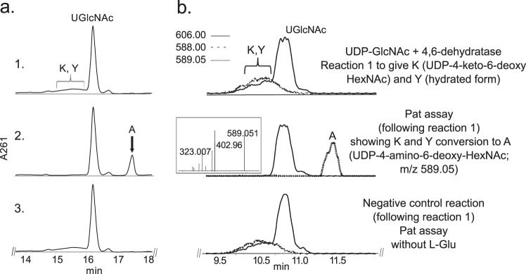 FIGURE 3.