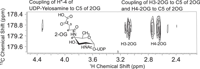 FIGURE 9.