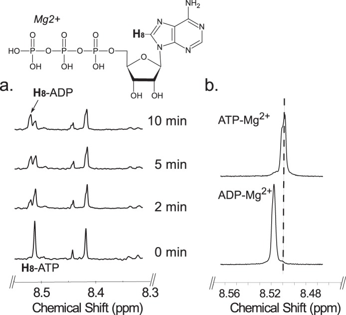 FIGURE 12.