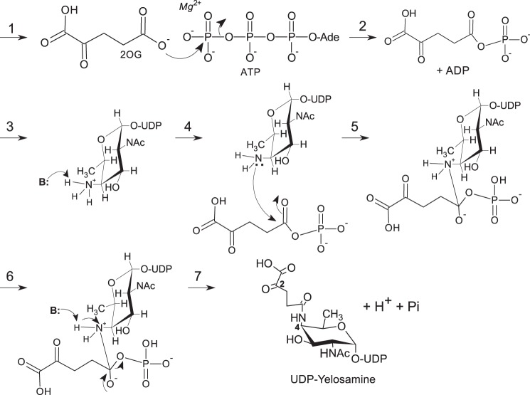 FIGURE 13.