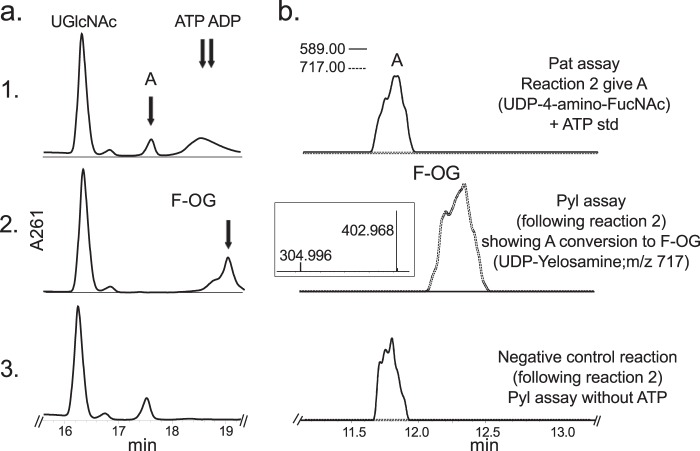 FIGURE 7.