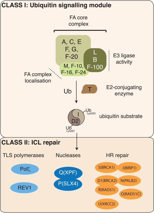 Figure 2.