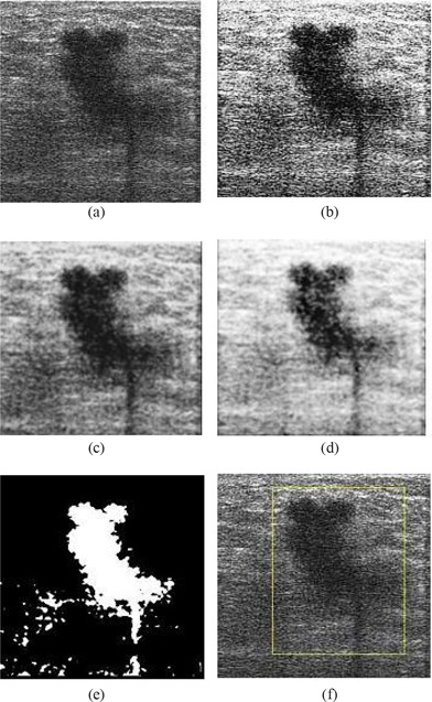 Figure 10