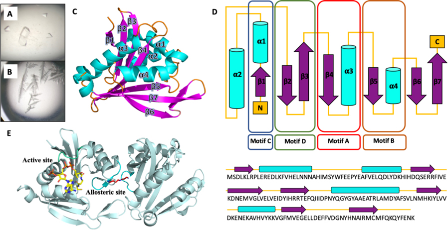 Figure 1.