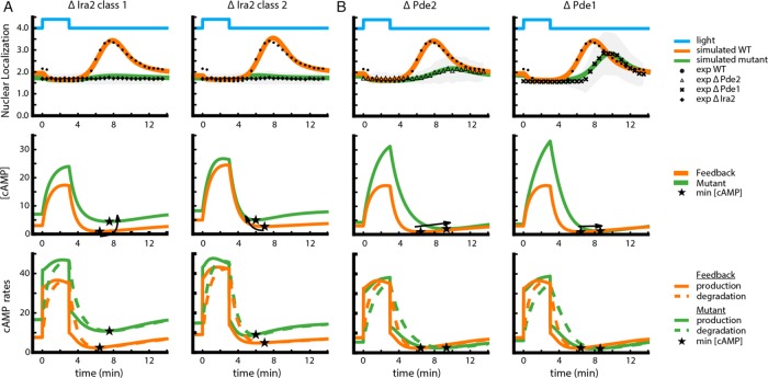 FIGURE 3: