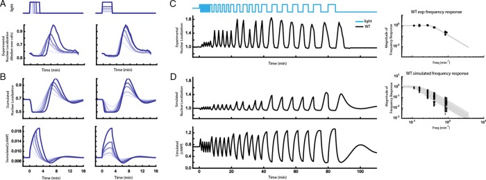 FIGURE 4: