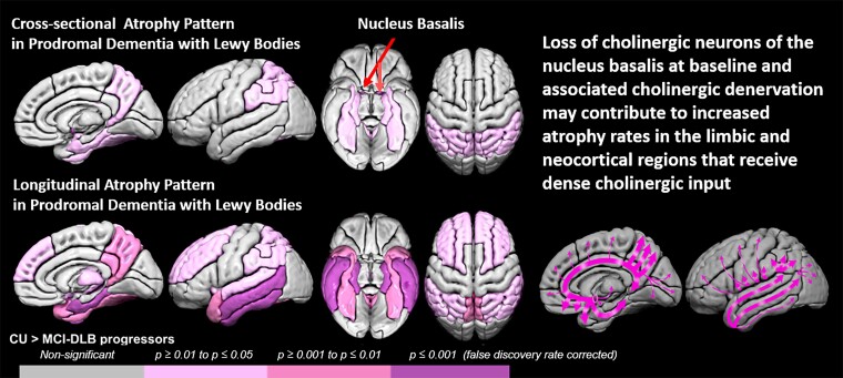 Graphical abstract