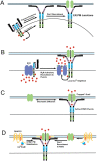 Figure 4: