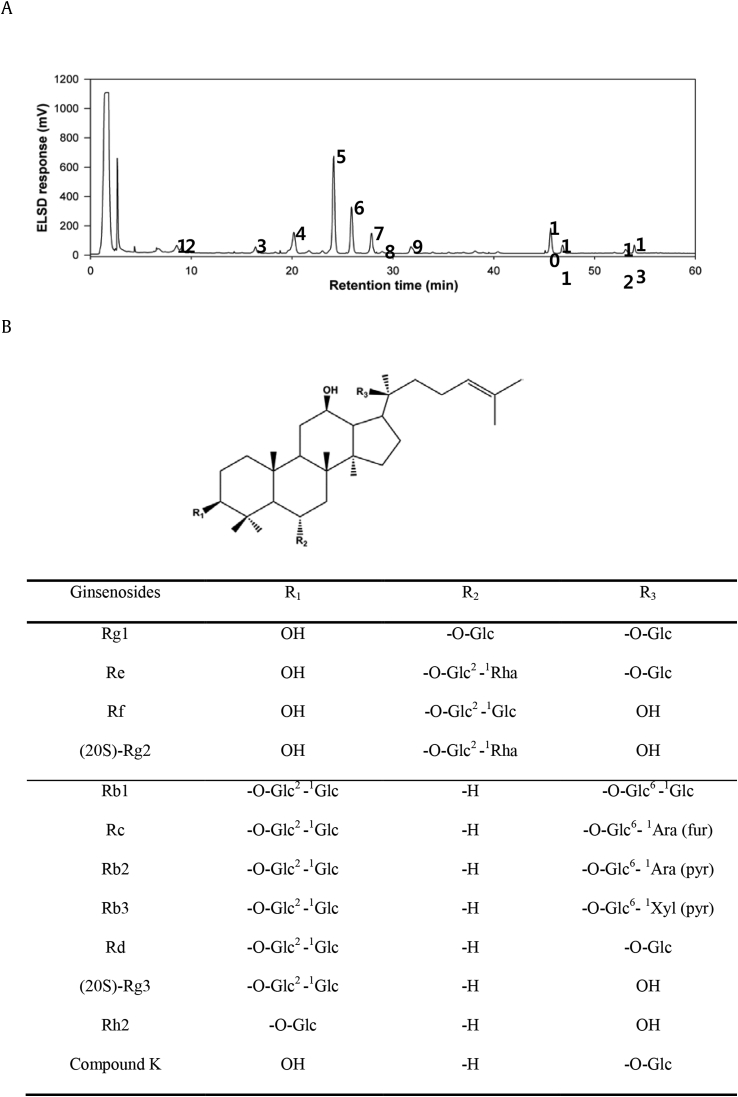 Fig. 1