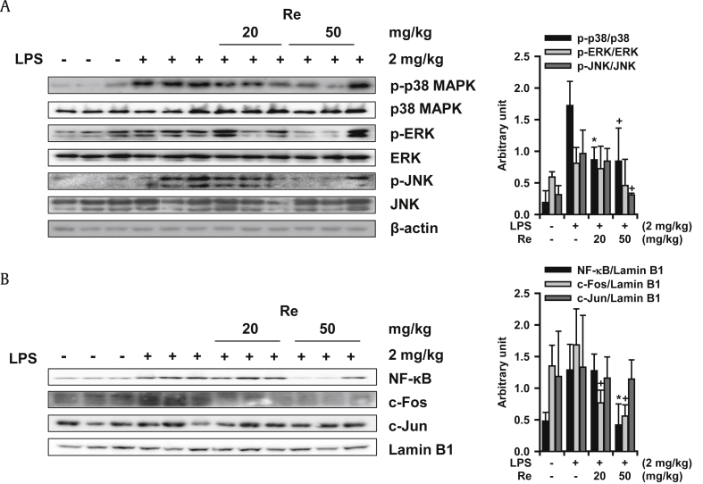 Fig. 4