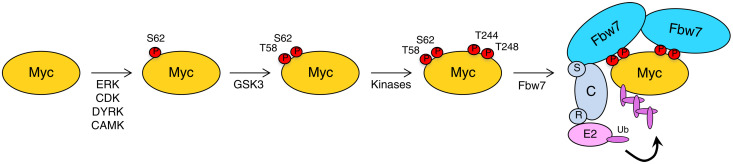 Fig. 6.