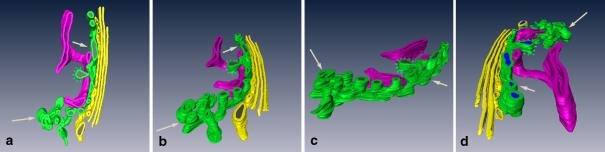 Fig. 3