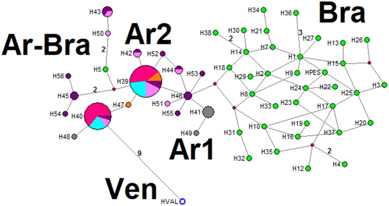 Fig 5