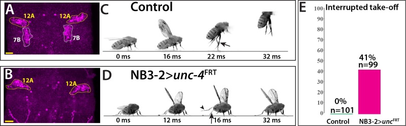 Figure 7.