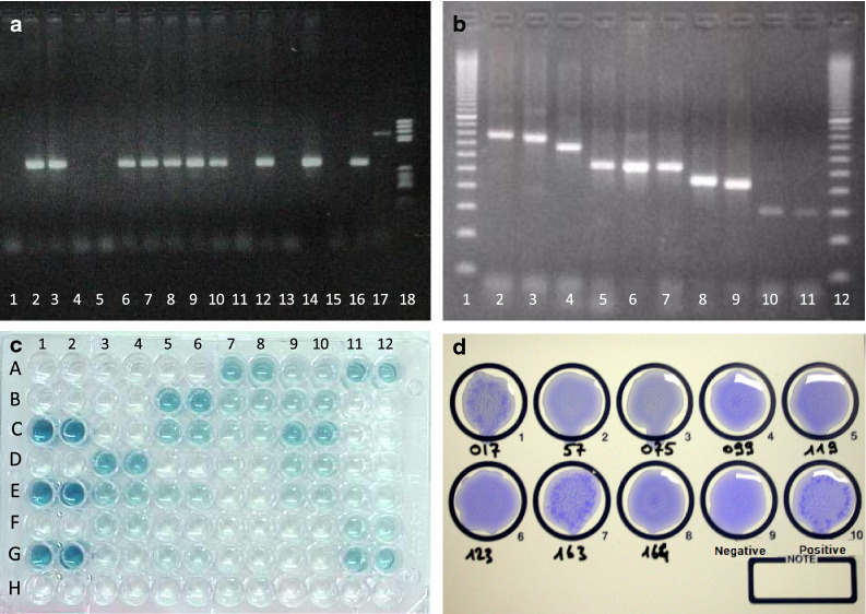 Fig. 7