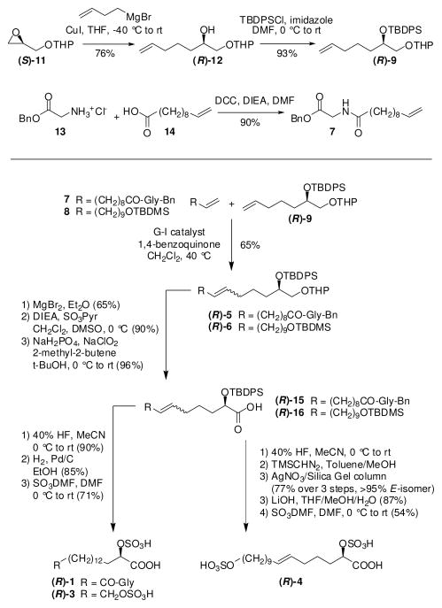 Scheme 2