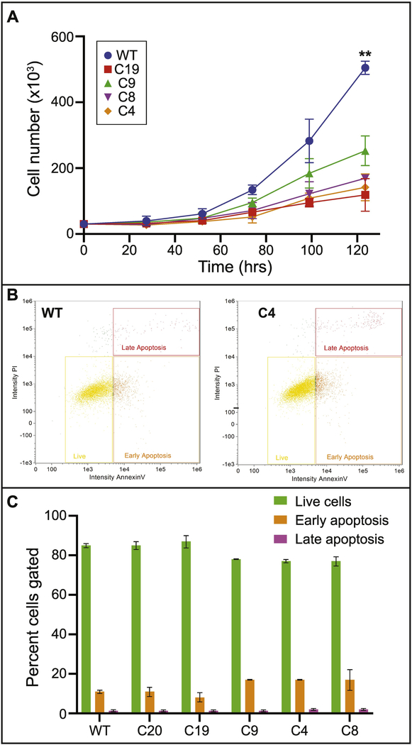 Figure 3: