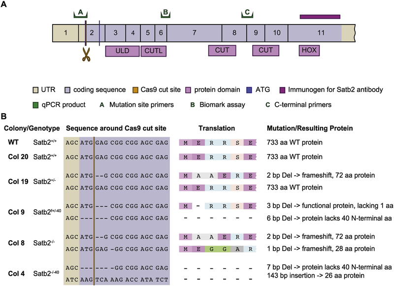 Figure 1: