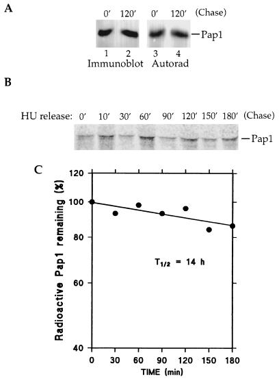 FIG. 8