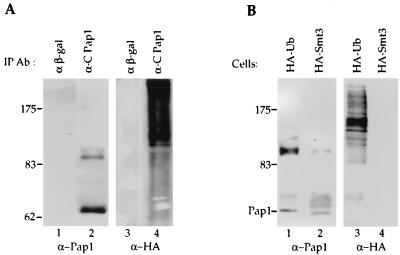 FIG. 6