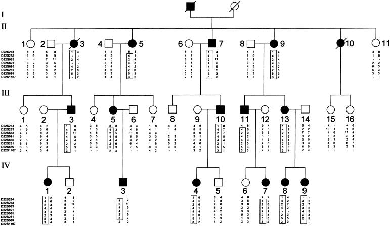 Figure  1