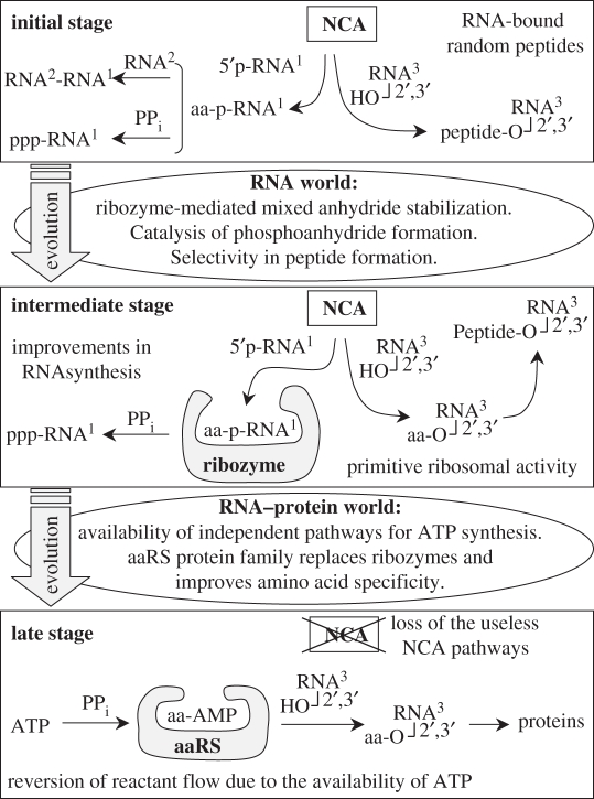 Scheme 6.